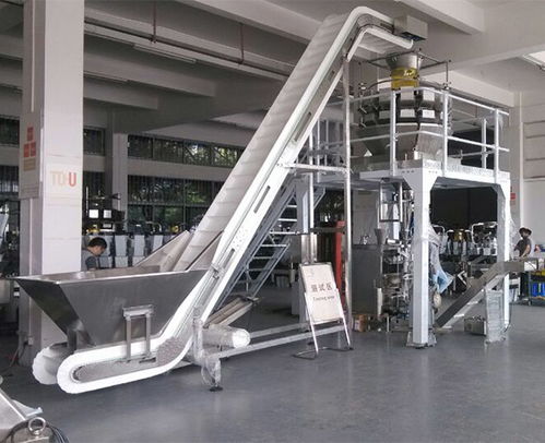 安徽天之業(yè) 以智能包裝機(jī)械賦能速凍產(chǎn)業(yè)，助力青島企業(yè)高效節(jié)省人力